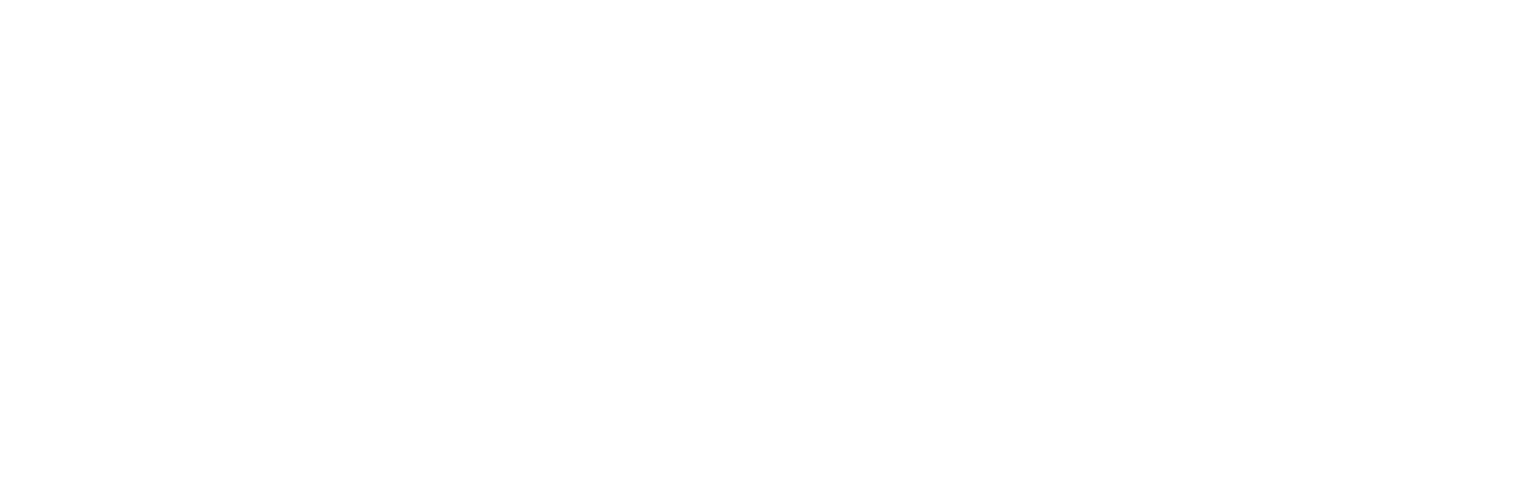 S.M.T.T